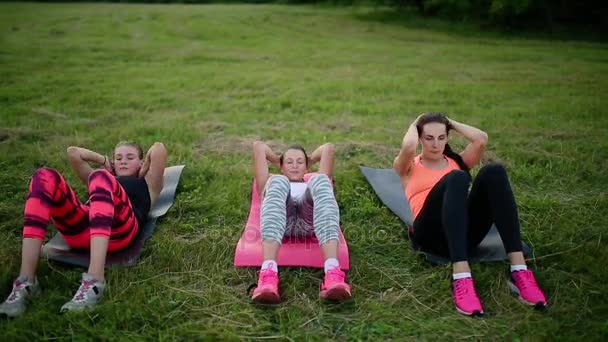Az abs lányok érzés. Ezzel a fizikai gyakorlatok, a zöld fű parkban nyáron szabadban, oldalnézetből sportruházat-fiatal sportos emberek csoportja — Stock videók