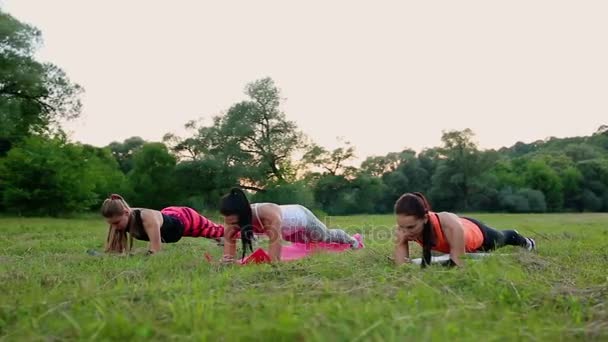 适合女人做木板的锻炼，工作腹部上腹部的肌肉。在大自然中健身女孩核心锻炼. — 图库视频影像