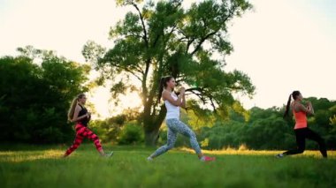 genç ve çekici Bayanlar Fitness egzersizleri Park yapıyor