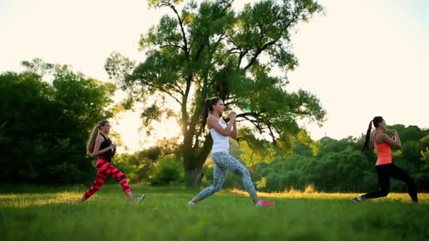 Jong en aantrekkelijk womans doen fitness oefeningen in park — Stockvideo