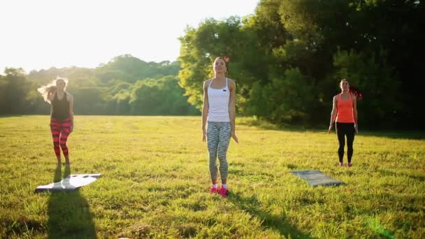 Schöne Sportlerinnen beim Turnen mit Kurzhanteln im Park — Stockvideo