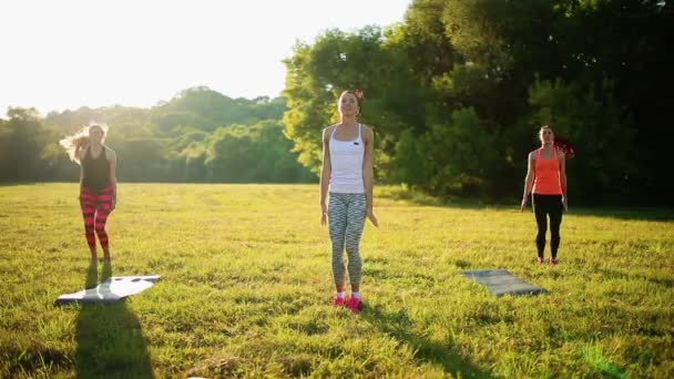 Belles sportives faisant de l'exercice avec des haltères dans le parc — Video