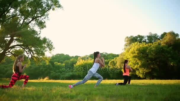 Csoport: edző stretching edzés a zöld gyep a parkban — Stock videók