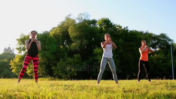 Gruppo con allenatore allenamento di stretching su un'erba verde nel parco — Video Stock