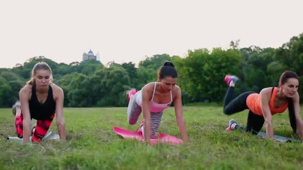 Entrenamiento para caderas perfectas. Grupo de mujeres jóvenes atléticas en ropa deportiva haciendo ejercicios físicos con el entrenador en el verde parque de verano al aire libre, vista lateral — Vídeo de stock