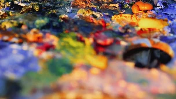 Kunstenaar borstel mix kleur olieverfschilderij op palet houdt in zijn hand close-up — Stockvideo