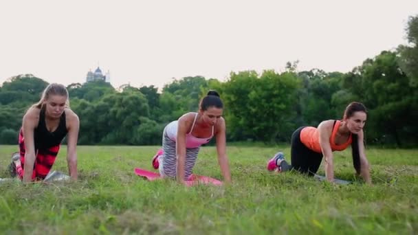 Training for perfect hips. Group of athletic young women in sportswear doing physical exercises with coach in green summer park outdoors, side view — Stock Footage Training for perfect hips. Group of athletic young women in sportswear doing physical exercises with coach in green summer park outdoors, side view Stock Video