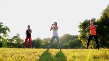 genç ve çekici Bayanlar Fitness egzersizleri Park yapıyor