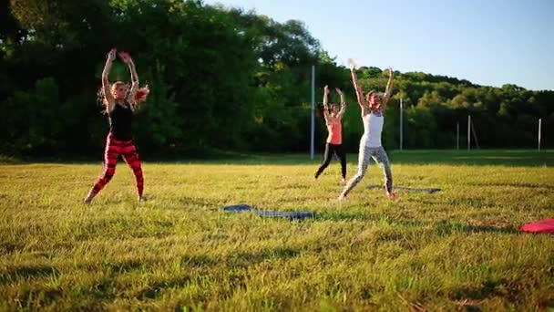 Группа молодых людей, занимающихся кикбоксингом, на открытом воздухе — стоковое видео