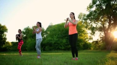 genç ve çekici Bayanlar Fitness egzersizleri Park yapıyor