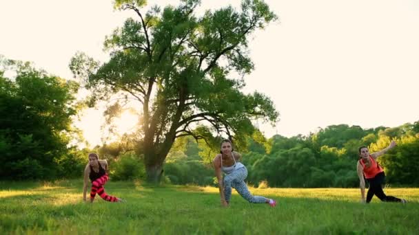 若くて魅力的な梨花の公園でのフィットネス演習を行う — ストック動画