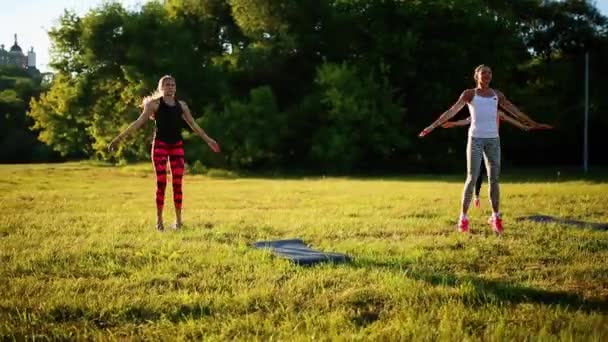 Entrenamiento de estiramiento en grupo, grupo grande se extiende al aire libre en una hierba verde en el parque — Vídeo de stock