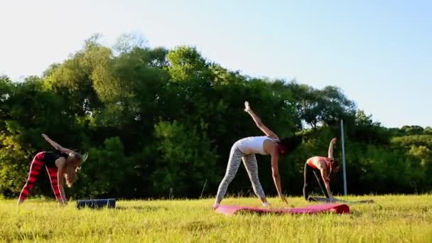 Groep uitrekken van training, grote groep strekt zich uit buiten op een groen gras in park — Stockvideo