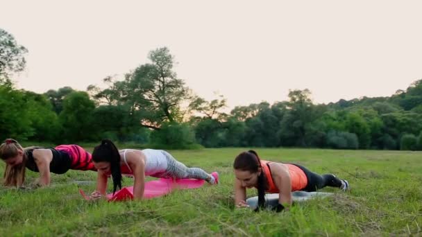 Τακτοποίηση γυναίκα κάνει άσκηση σανίδα, εργάζονται για τους μυς του κοιλιακού midsection. Γυμναστήριο προπόνηση πυρήνα κορίτσι στη φύση. — Αρχείο Βίντεο