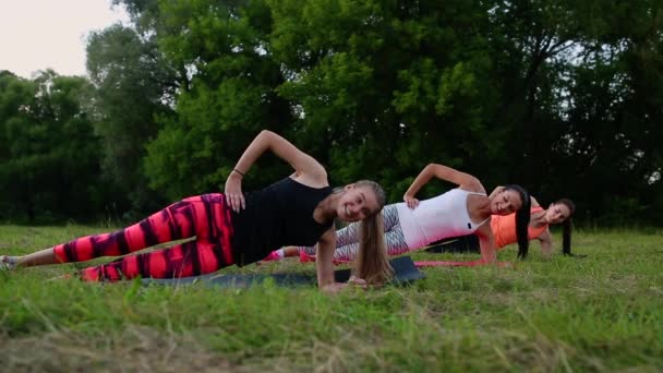 Fit vrouw doen plank oefening, bezig met abdominale buik spieren. Meisje kern fitnesstraining in de natuur. — Stockvideo