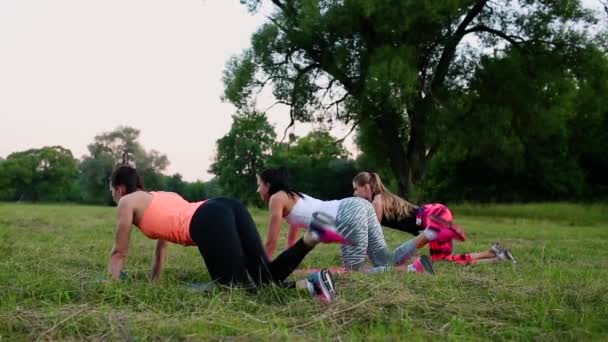 Training voor perfecte heupen. Groep van atletische jonge vrouwen in sportkleding doen van fysieke oefeningen met coach in groene zomer park buitenshuis, zijaanzicht — Stockvideo