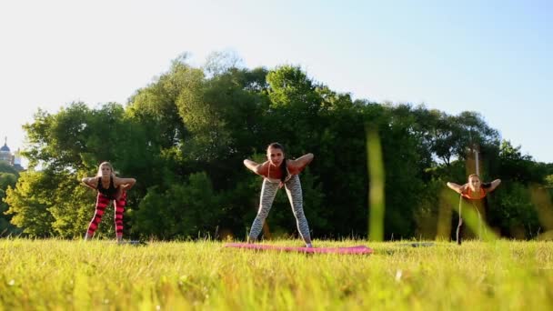 Grupo de jóvenes que tienen entrenamiento de kick boxing, al aire libre — Vídeos de Stock