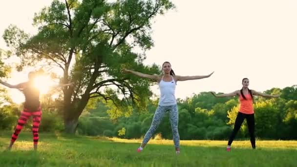 Grupo con entrenador de estiramiento de entrenamiento en una hierba verde en el parque — Vídeos de Stock