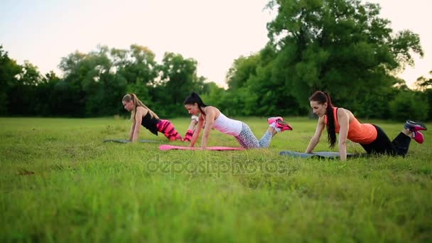 Tres mujeres están haciendo flexiones en el césped en el parque — Vídeo de stock