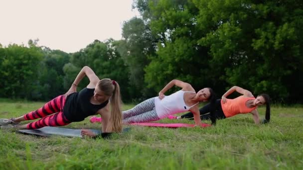 Fit žena dělá prkno cvičení, pracuje na svaly břišní bránice. Fitness holka základní cvičení v přírodě. — Stock video