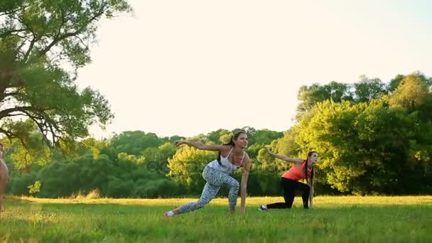 Молодые и привлекательные женщины делают фитнес-упражнения в парке — стоковое видео