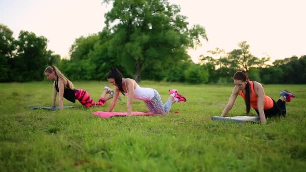 Three women are doing push ups on the grass in the park — Stock Video