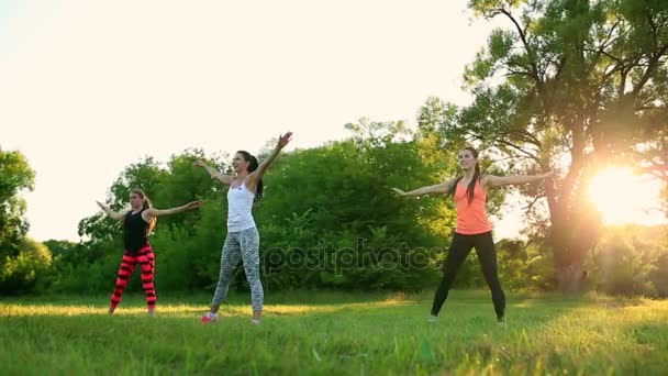 Jong en aantrekkelijk womans doen fitness oefeningen in park — Stockvideo