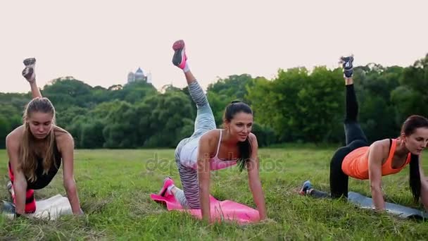 Entrenamiento para caderas perfectas. Grupo de mujeres jóvenes atléticas en ropa deportiva haciendo ejercicios físicos con el entrenador en el verde parque de verano al aire libre, vista lateral — Vídeos de Stock