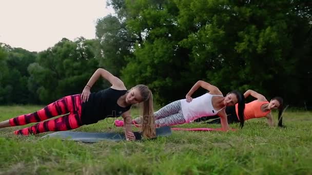 Mulher apta a fazer exercício de prancha, trabalhando nos músculos da parte média do abdómen. Fitness girl core workout na natureza . — Vídeo de Stock