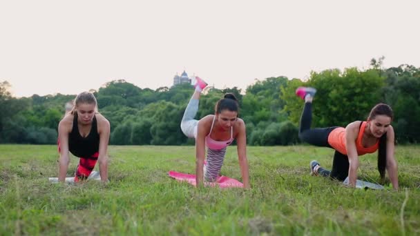 完璧な腰のトレーニング。スポーツ ウエア緑夏公園屋外、サイドビューでコーチと運動をすることで運動の若い女性のグループ — ストック動画