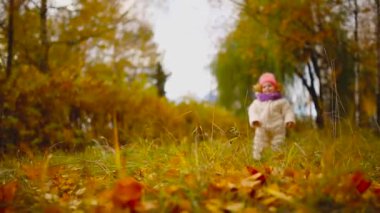 Küçük kız sıcak şapkalı sonbahar giyim ve eşarp duran sarı izlerken parkta ağaçların düşen bırakır. Asansörleri ve ağaçtan yapraklar ayırır.