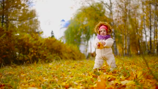 Μικρό κορίτσι σε ρούχα σε ζεστό καπέλο και κασκόλ στέκεται στο πάρκο βλέποντας το κίτρινο φύλλα που πέφτουν από τα δέντρα. Ανελκυστήρες και διαχωρίζει τα φύλλα από το δέντρο. — Αρχείο Βίντεο
