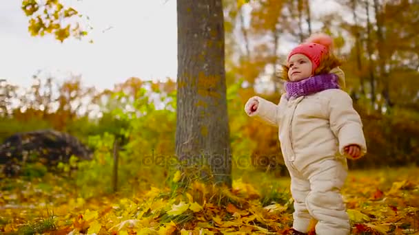 Little girl in autumn clothing in warm hat and scarf standing in the Park watching the yellow leaves falling off the trees. Lifts and separates the leaves from the tree. — Stock Video