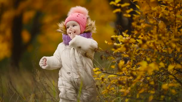 Liten flicka i höst kläder i varm mössa och halsduk stående i parken och titta på gula blad falla av träden. Lyfter och separerar bladen från trädet. — Stockvideo