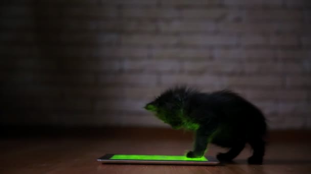 Un pequeño gatito negro en la noche está jugando con una tableta de pantalla. Divertirse y saltar en la pantalla . — Vídeos de Stock