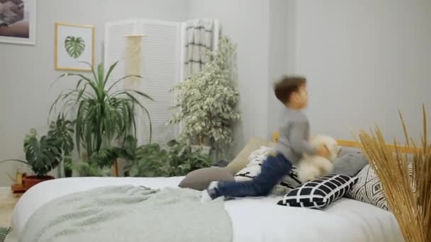 Menino 5-7 anos de idade em jeans azuis e uma camisola cinza Aparência europeia feliz pulando na cama no quarto dos pais com um urso de brinquedo e travesseiro . — Vídeo de Stock