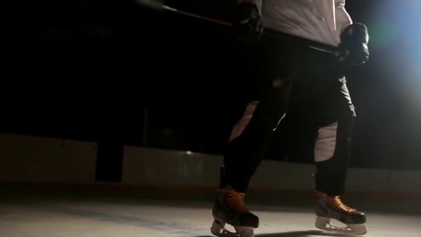 Spelarna i arenan hockey och tittar på kameran i en professionell uniform. — Stockvideo