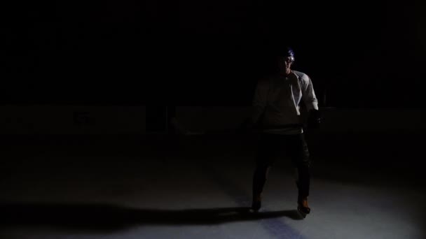 De spelers in de hockey arena en kijken naar de camera in een professionele uniform. — Stockvideo