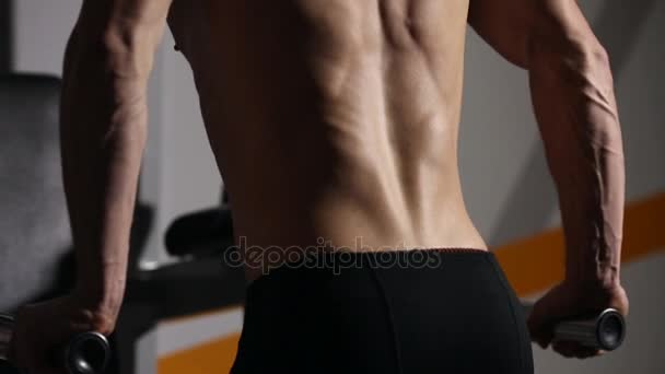 Ejercicios masculinos potentes fuertes para los músculos pectorales y tríceps con caídas. Primer plano, alivio del cuerpo . — Vídeos de Stock