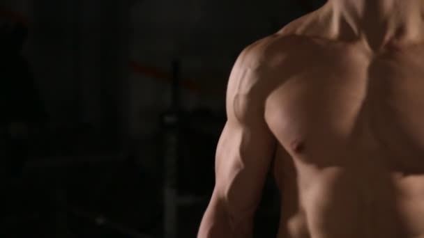 Stilig man med stora muskler, poserar i gym muskulös mannen lyfta vikter över mörk bakgrund muskulös man arbetande ute i gym gör övningar med skivstång på biceps stark male. närbild — Stockvideo