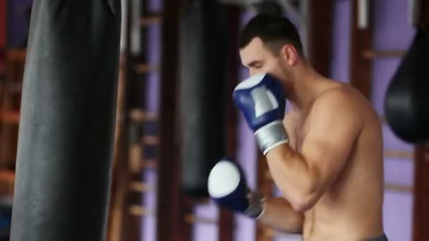 ボクシング グローブの裸胸のジムでサンドバッグで筋肉男性プロボクサー列車. — ストック動画