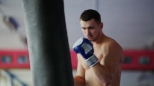 Svalnatý muž profesionální boxer vlaky od boxovací pytel v tělocvičně v Boxerské rukavice rozhalenou. — Stock video