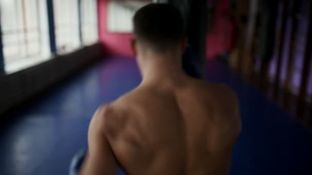 Pohled zezadu na pejsek boxer dělá údery za pytel Boxerské rukavice v tělocvičně. Profesionální boxer provádí výcvik boxu rozhalenou. Detail. — Stock video