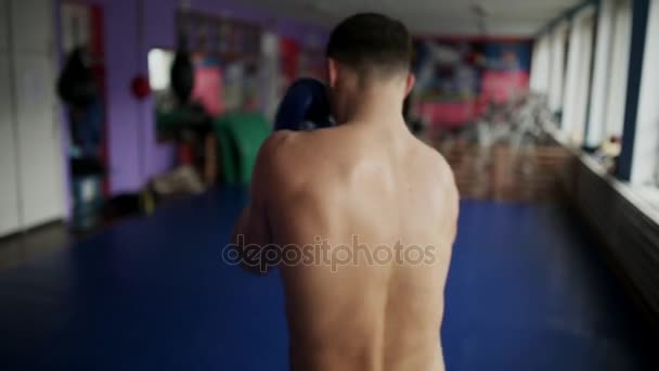 Vue arrière du boxeur masculin donne des coups de poing pour sac Gants de boxe à la salle de gym. boxeur professionnel conduit la formation pour la boxe poitrine nue. Gros plan . — Video