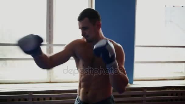 Mantém um boxeador profissional a usar luvas de boxe sem camisa. Um movimento vertical da câmera em close-up. Panela . — Vídeo de Stock