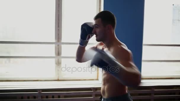 Sostiene una sombra boxeadora profesional Boxeo con guantes de boxeo con la camisa fuera. Un movimiento de cámara vertical en primer plano. Pan. . — Vídeos de Stock