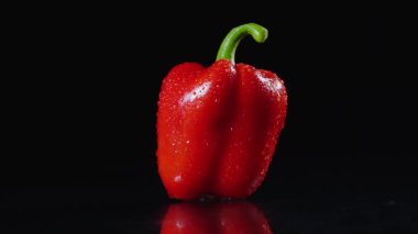 Olgun kırmızı biber üzerinde dönen siyah arka plan. Bir damla su içinde arka ışık parlar. Yakın çekim, ağır çekim