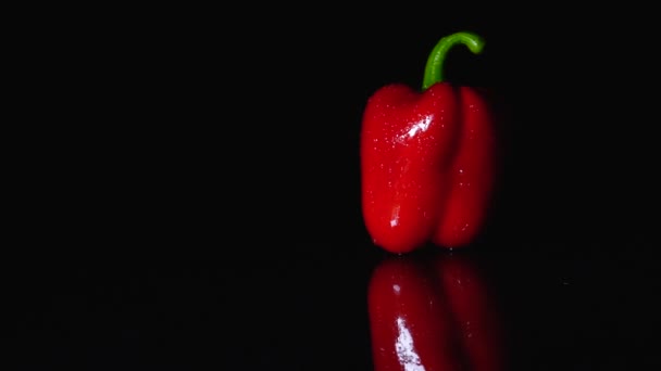 Rijpe paprika draaien op zwarte achtergrond. Close-up, slow-motion — Stockvideo