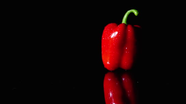 Reife rote Paprika rotieren auf schwarzem Hintergrund. Nahaufnahme, Zeitlupe. die Bewegung des Lichts. Lichtwechsel — Stockvideo