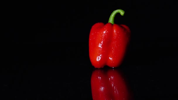 Ώριμες κόκκινες πιπεριές περιστρεφόμενη σε μαύρο φόντο. Γκρο πλαν, αργή κίνηση. Μια σταγόνα νερό που τρέχει κάτω από το αντικείμενο — Αρχείο Βίντεο